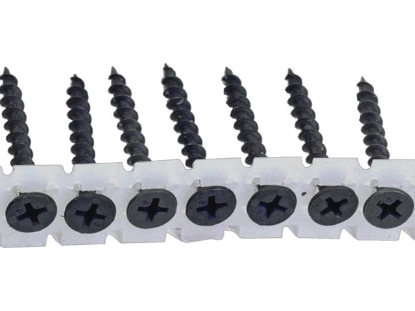 Afbeelding - FERZ1454-jpg